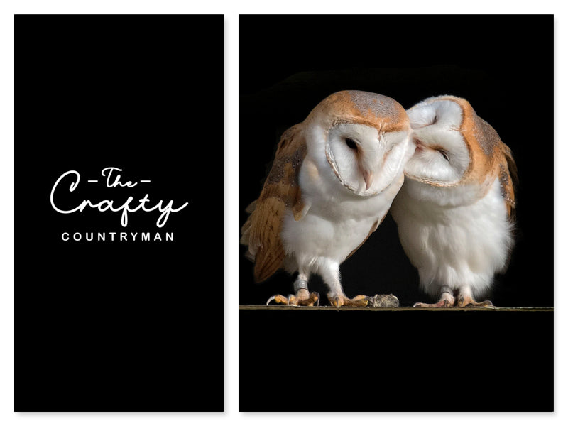 THE HAWK AND OWL TRUST